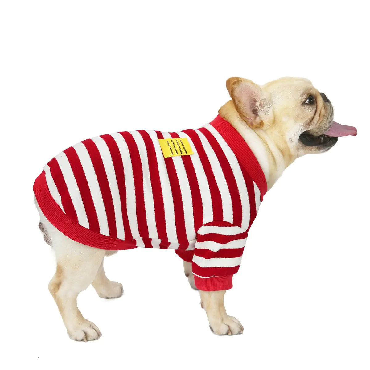 Striped Bullfighting Sweater for Dogs - Fall/Winter Coat