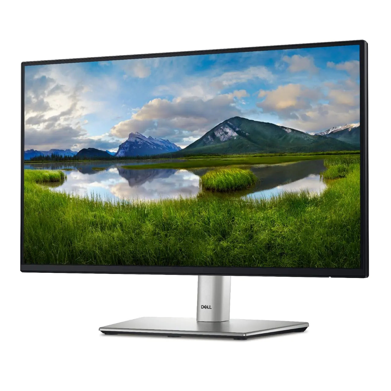 Dell 24" Monitor P2422H - Full HD 1080p IPS with ComfortView Plus